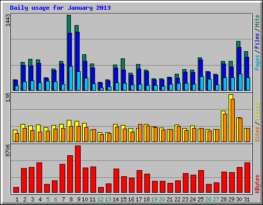 Daily usage for January 2013