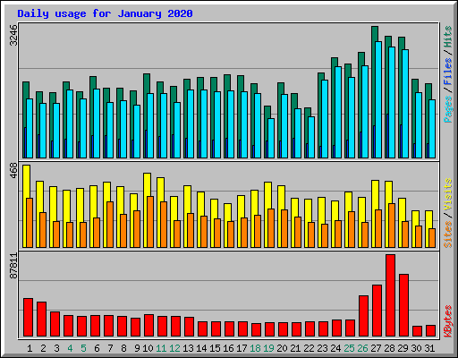 Daily usage for January 2020