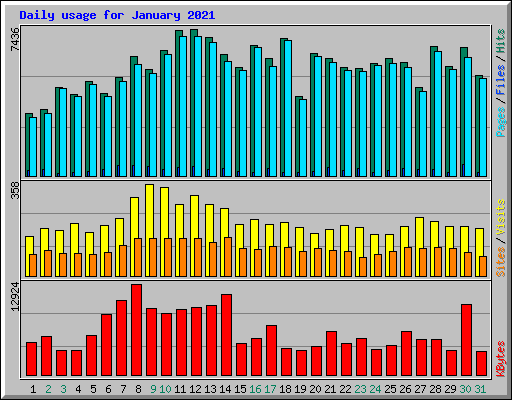 Daily usage for January 2021