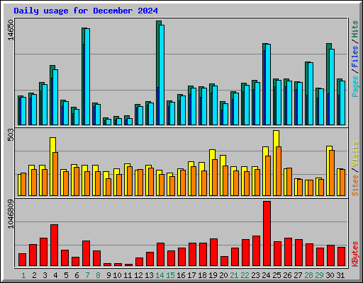 Daily usage for December 2024