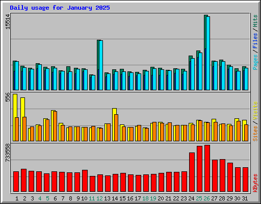Daily usage for January 2025