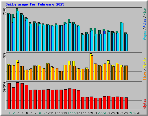 Daily usage for February 2025