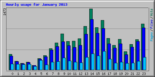 Hourly usage for January 2013