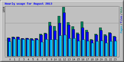 Hourly usage for August 2013
