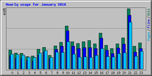 Hourly usage for January 2016