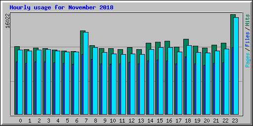 Hourly usage for November 2018