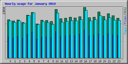 Hourly usage for January 2019