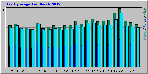 Hourly usage for March 2019