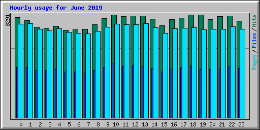 Hourly usage for June 2019