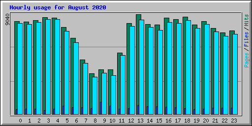 Hourly usage for August 2020
