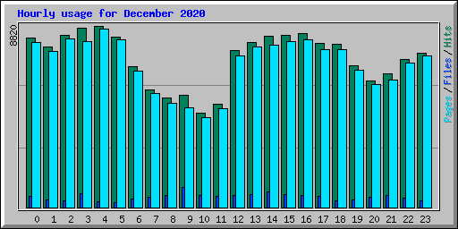 Hourly usage for December 2020