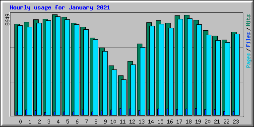 Hourly usage for January 2021