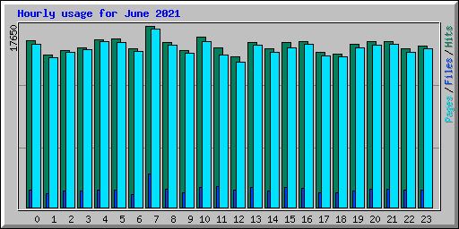 Hourly usage for June 2021