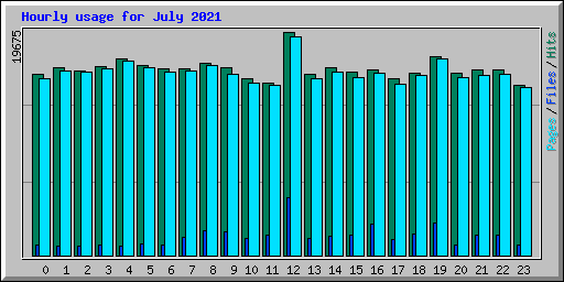 Hourly usage for July 2021