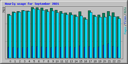 Hourly usage for September 2021