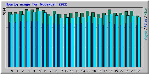 Hourly usage for November 2022