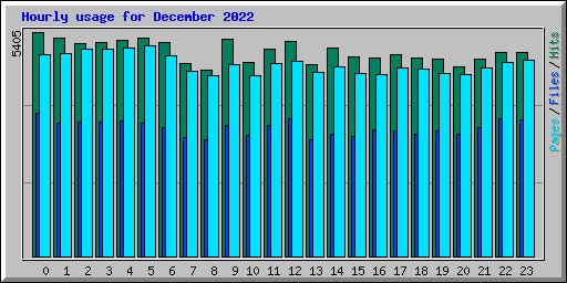 Hourly usage for December 2022