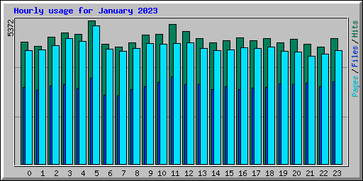 Hourly usage for January 2023