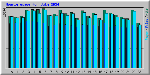 Hourly usage for July 2024