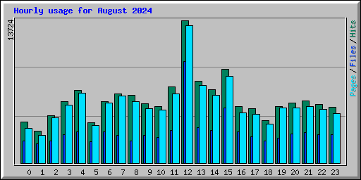 Hourly usage for August 2024