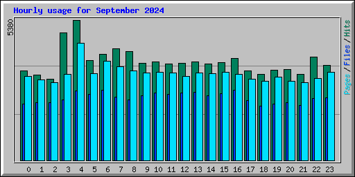 Hourly usage for September 2024