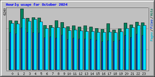 Hourly usage for October 2024