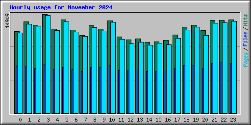 Hourly usage for November 2024