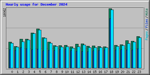 Hourly usage for December 2024