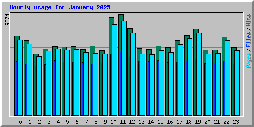 Hourly usage for January 2025