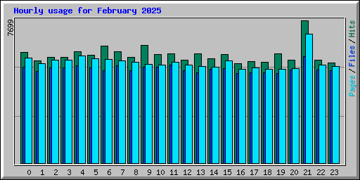Hourly usage for February 2025