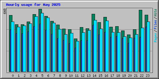 Hourly usage for May 2025