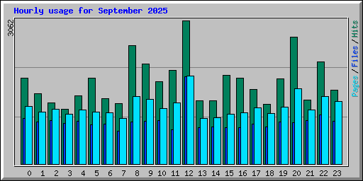 Hourly usage for September 2025