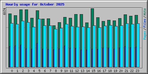 Hourly usage for October 2025