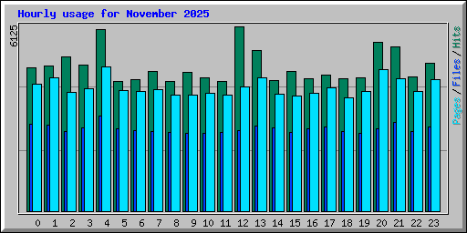 Hourly usage for November 2025