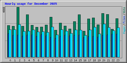 Hourly usage for December 2025