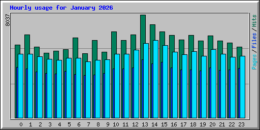 Hourly usage for January 2026