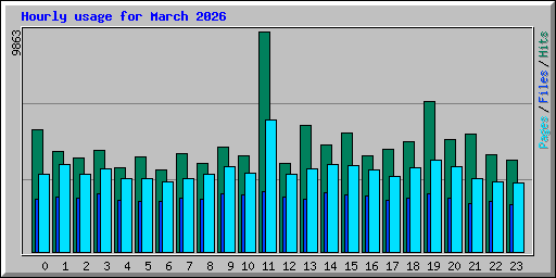 Hourly usage for March 2026